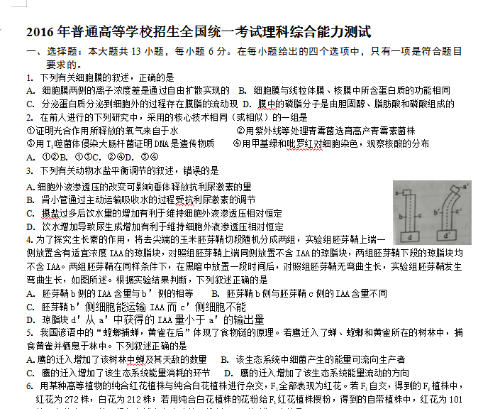 2025年精准正版免费资料资料|精选解释解析落实