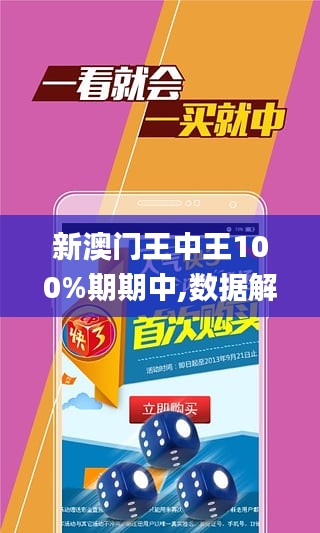 2025新澳门王中王100%期期中|精选解释解析落实