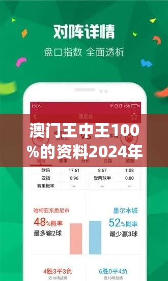 2025新澳门王中王100%期期中|文明解释解析落实