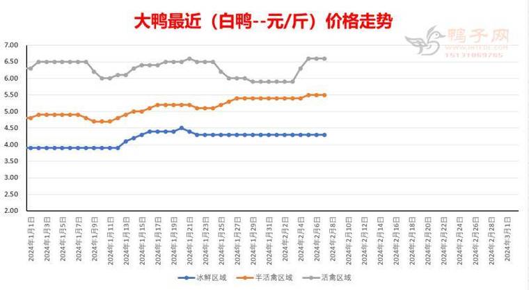 肉鸭最新行情