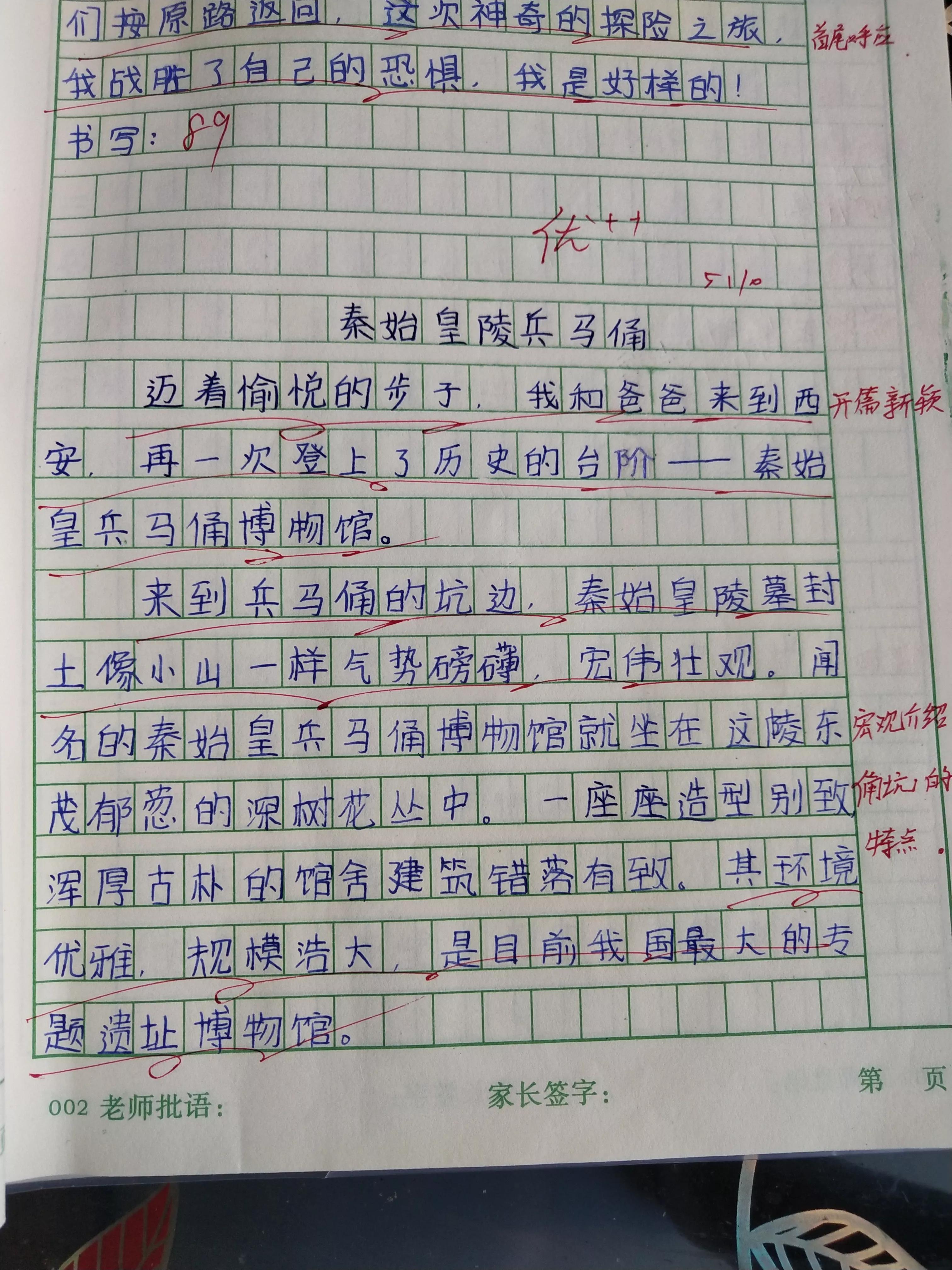 小学最新作文